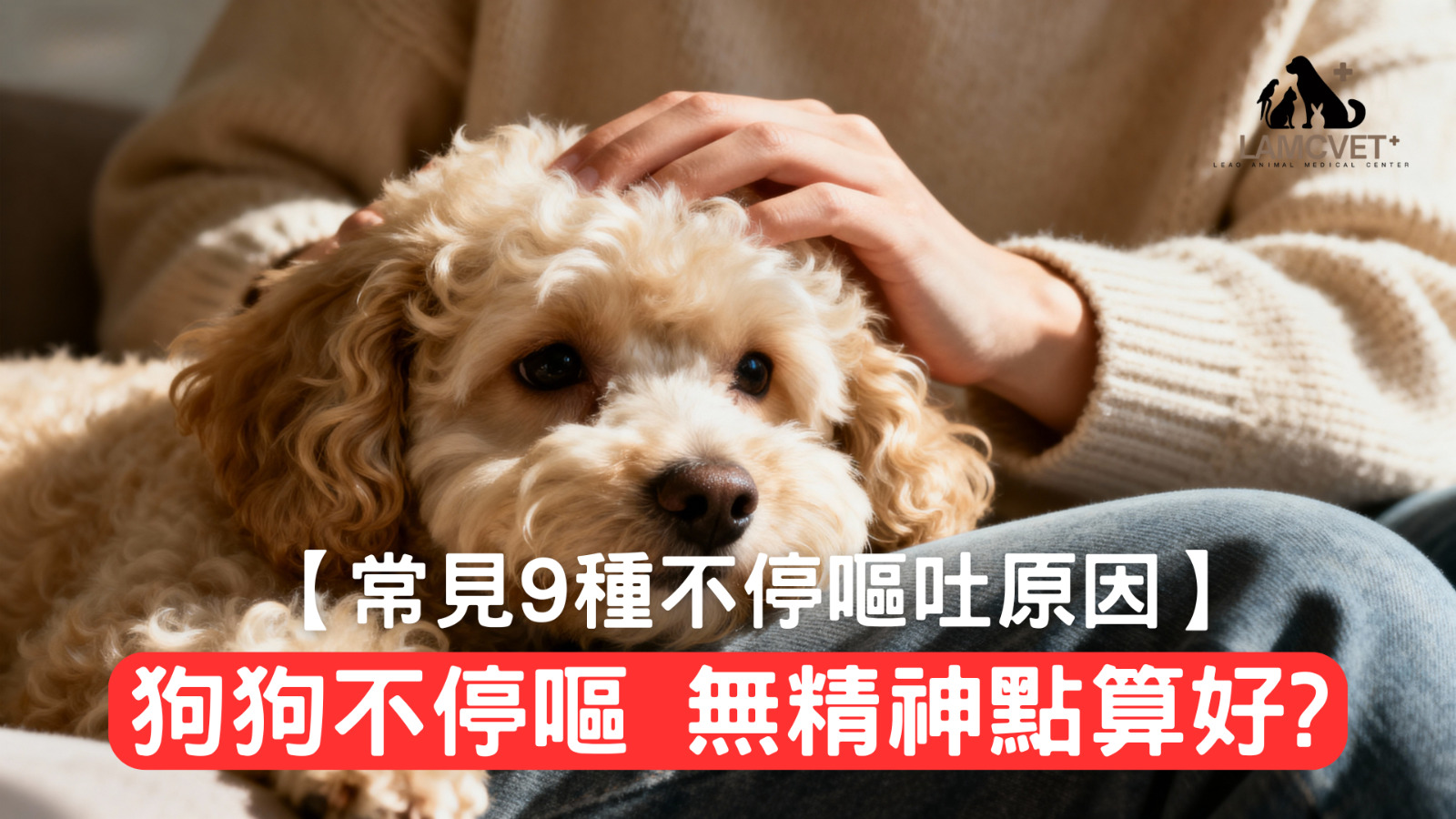 狗狗不停嘔吐常見原因圖解